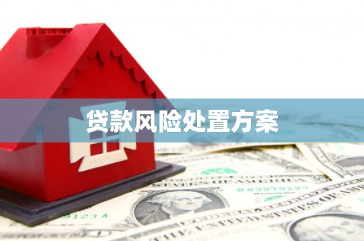 庐江贷款风险处置方案