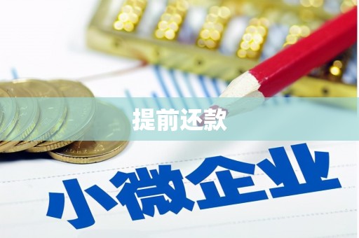 庐江提前还款