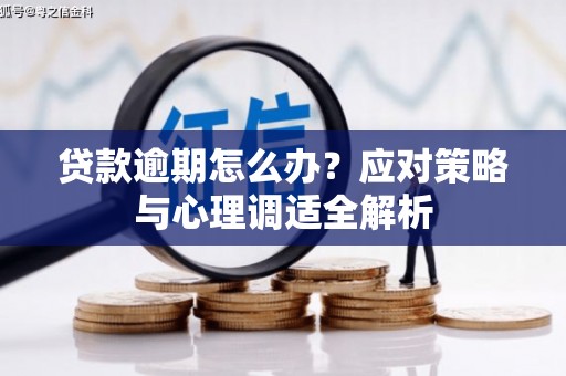 庐江贷款逾期怎么办？应对策略与心理调适全解析