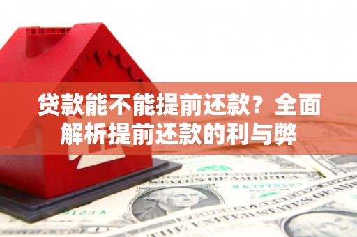 庐江贷款能不能提前还款？全面解析提前还款的利与弊