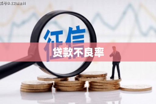 庐江贷款不良率