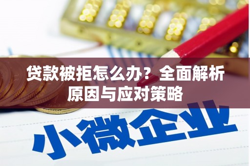 庐江贷款被拒怎么办？全面解析原因与应对策略