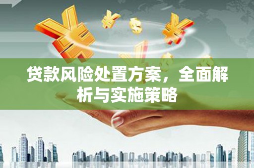 庐江贷款风险处置方案，全面解析与实施策略