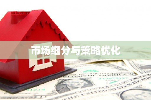 庐江市场细分与策略优化
