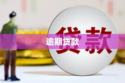 庐江逾期贷款