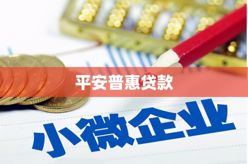 庐江平安普惠贷款